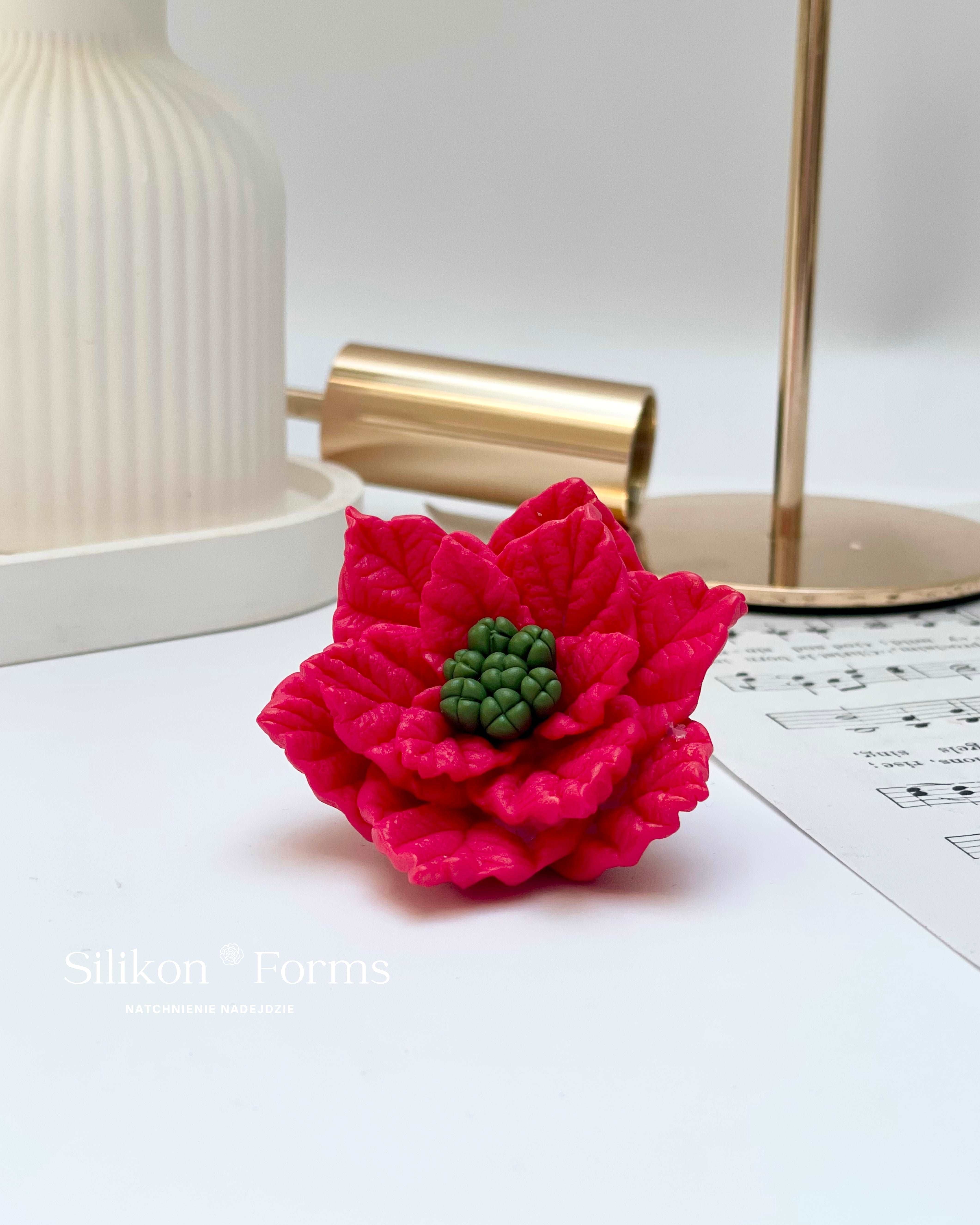 Kwiat "Gwiazda Betlejemska"