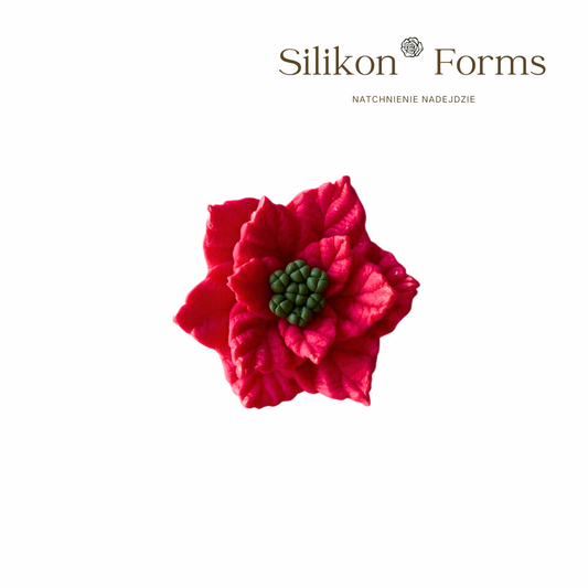 Kwiat "Gwiazda Betlejemska"