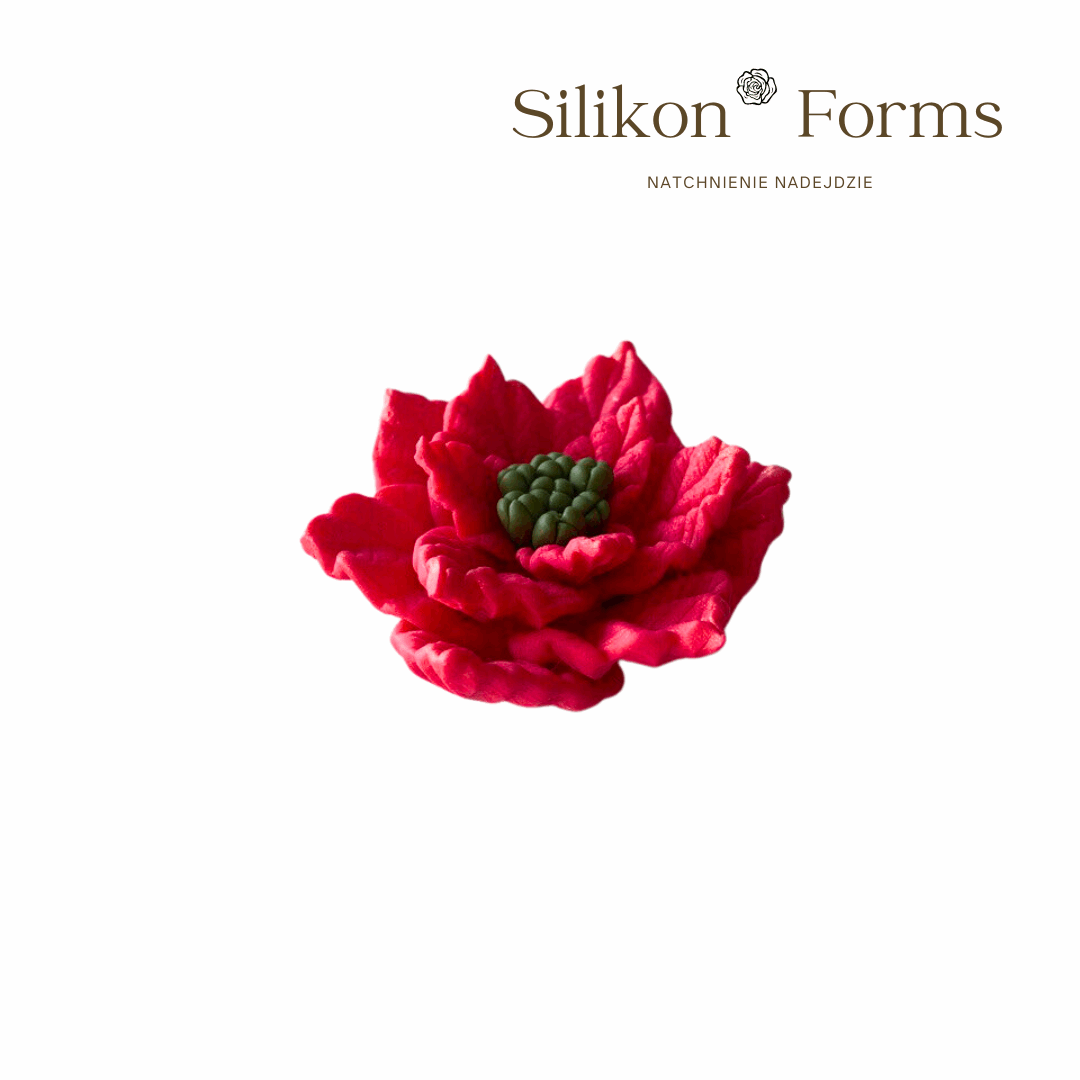 Kwiat "Gwiazda Betlejemska"