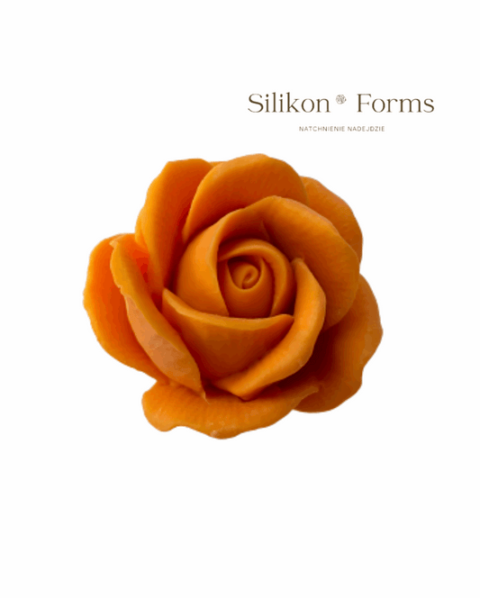 Kwiat "Róża Wielkokwiatowa"