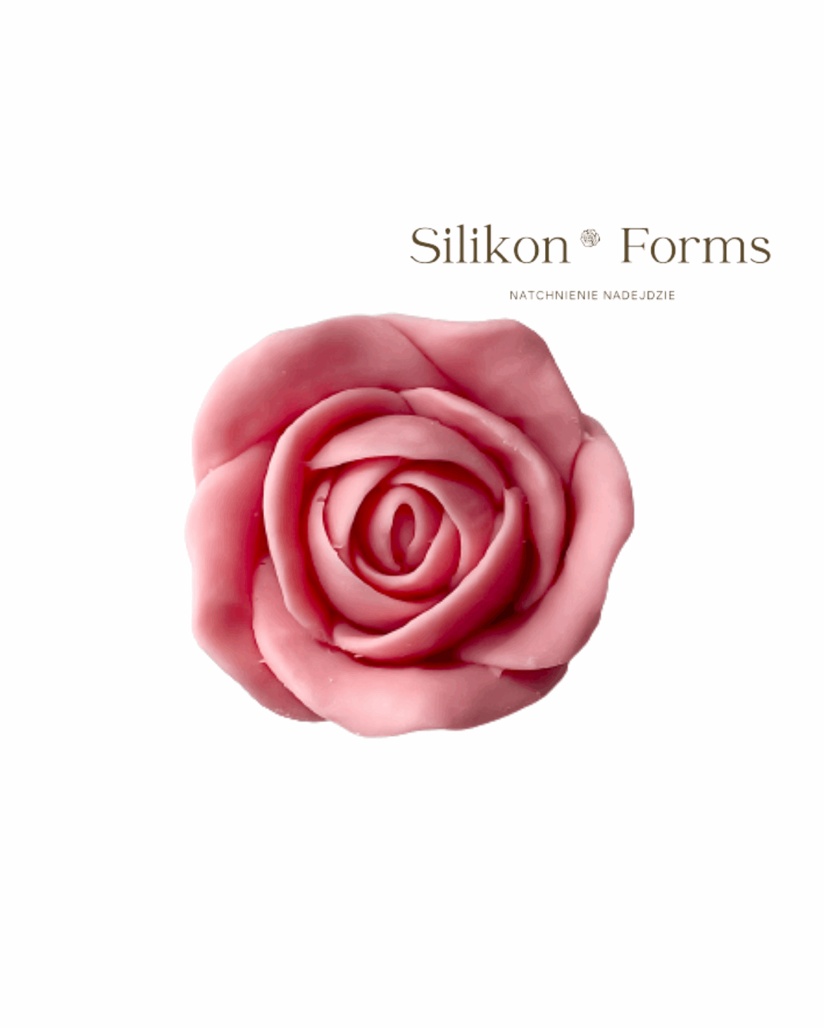 Kwiat "Róża Herbaciana"