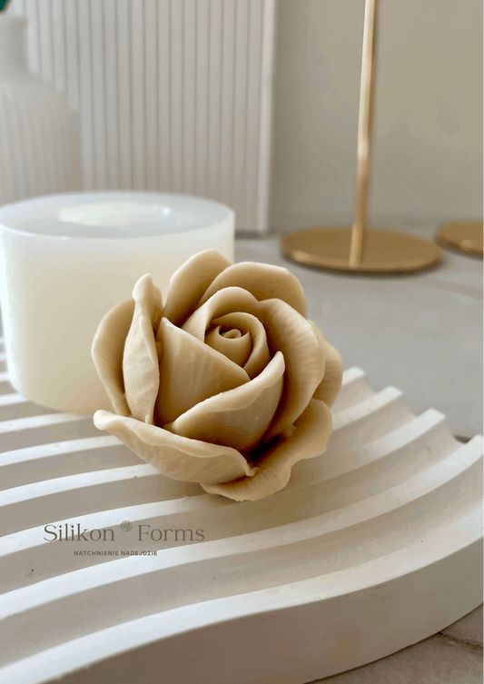 Kwiat "Róża Wielkokwiatowa"